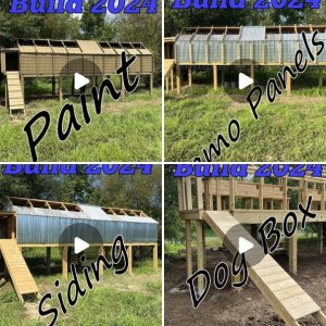 Duck Blind Build 2024