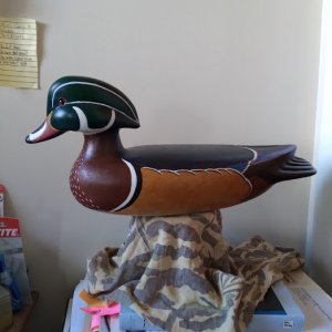 Hollow sugar pine Wood Duck Decoy.jpg