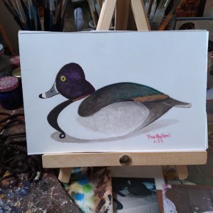 Ringneck duck decoy watercolor.jpg