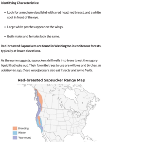 Screenshot 2024-03-26 at 08-02-15 11 Types of Woodpeckers Found in Washington (state).png
