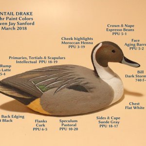 sm Pintail Drake BEHR COLORS with TEXT.JPG