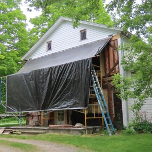 sm Tarp as canopy.jpg