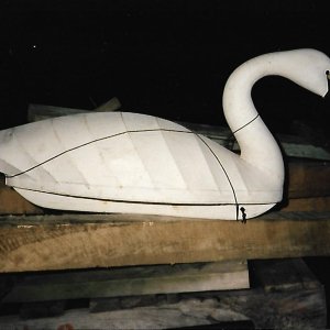 johnson swan.jpg