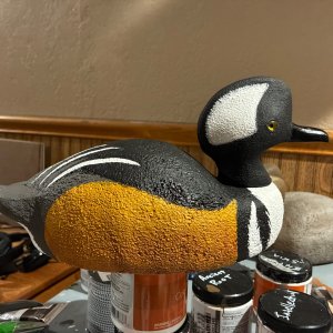 IMG_0347.jpeg