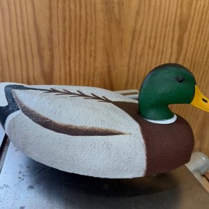 IMG_0410.jpeg