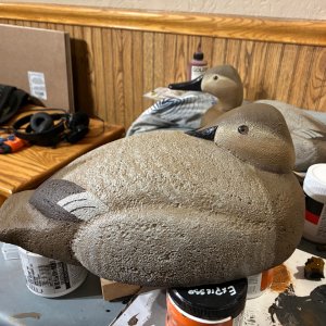IMG_0360.jpeg