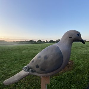 IMG_4928.jpeg