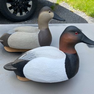 IMG_5691.jpeg
