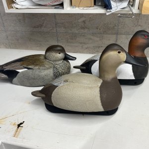 IMG_5828.jpeg