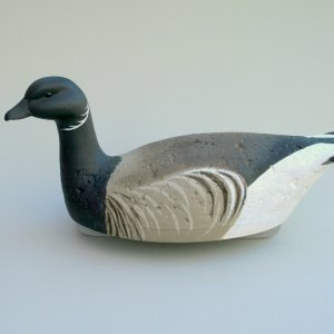 Black Cork Brant - 2 May 2013 - portrait SMALL.jpg