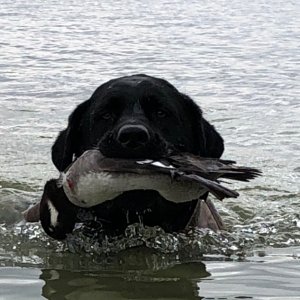 IMG_1203.jpeg