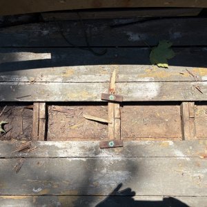 IMG_8253.jpeg