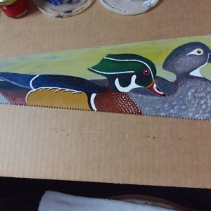 Wood Duck saw (2).JPG