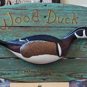 wood duck sign ml phone 1.jpg