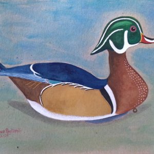 Wood Duck watercolor for Dr. M..jpg