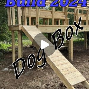 Part four of our summer 2024 duck blind build.