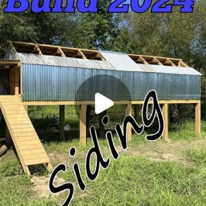 Part five, and the most frustrating, of our summer 2024 duck blind build.