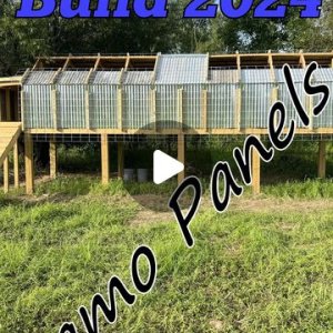 Part six of our summer 2024 duck blind build.