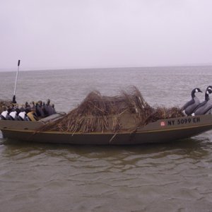 Estuary Cape 05 053.jpg