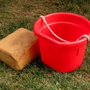 sm 6 CAIRD - Bucket and sponge.JPG