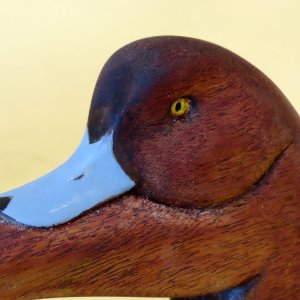 GR 13 sm 2 Broadbill grab Handles - Drake head closeup.JPG