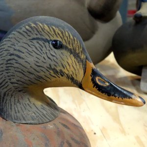 sm Painted Eyes - Herters Model 72 Mallard Hen.jpg