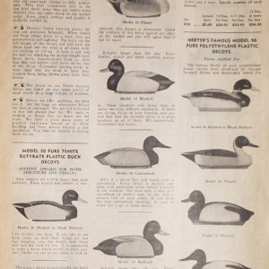 Model 96 Duck Decoys - 1971 catalog.jpg