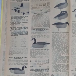 1970 Herters catalog (5).jpg