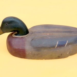 10 sm Herters Model Canada Drake Mallard - FULL oblique portside.jpg