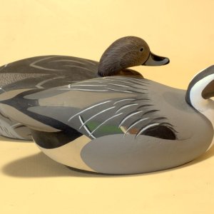 12 sm Wildfowler Pintail Pair - oblique portrait.jpg