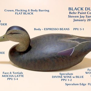 sm Black Ducks - BEHR PAINTS.JPG