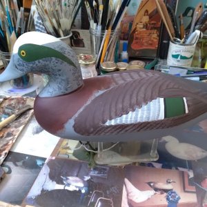 Capt. Harry Wigeon Drake Decoy250217_112554.jpg