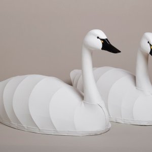 Pair of Swan Decoys.jpg