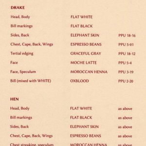 Old Squaw paint schedule.JPEG