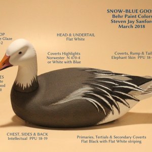 Snow-Blue Goose - BEHR paints - MARCH 2018.JPG