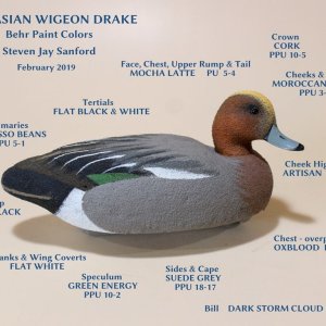 BEHR Paints - Eurasian Wigeon - Drake LABELS sm.jpg