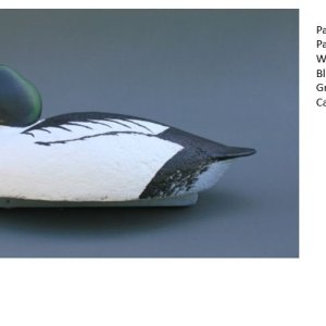 Whistler Drake.JPG