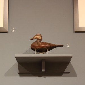 sm 03 Dudley Ruddy 04 - on high shelf.JPG