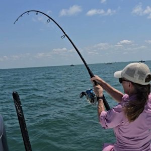 tarpon6.jpg