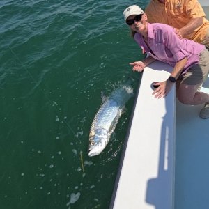 tarpon9.jpg