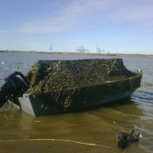 IMG00849-20120113-1005.jpg