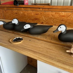Media '2025 Black Ducks.jpg' in category 'Duck Boat/Hunting Forum Media'