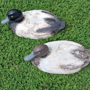 sm  a Model Canada HYBRID Bluebill Pair 2.jpg
