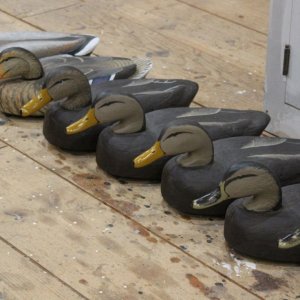sm k  - Model Canadas.JPG