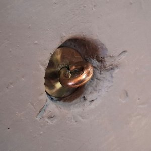 sm p3 Drake - brass screw eye.jpg