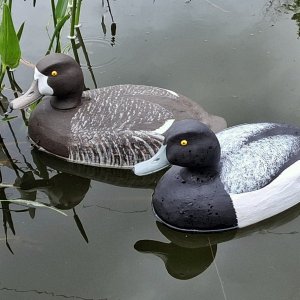 x Pair on Frog Pond 3 BEST.jpg