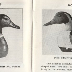 sm Model Peerfect Mallard and Pintail - 1941.jpg