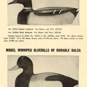 sm Model Winnepeg Mallard and Bluebill - p 23 - 1950.jpg