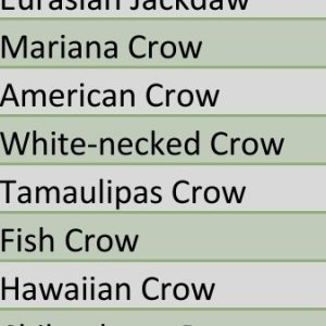 Screenshot_20250618_182003_Excel.jpg