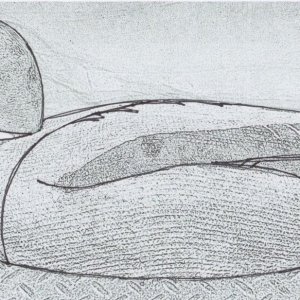 Cody Foster - Mallard paint suggestions - sm.jpg